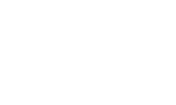 light logo